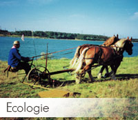 Ecologie