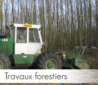 Travaux forestiers